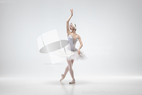 Image of Young graceful ballerina on white studio background