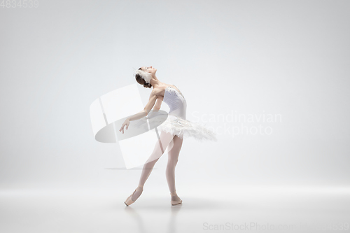 Image of Young graceful ballerina on white studio background