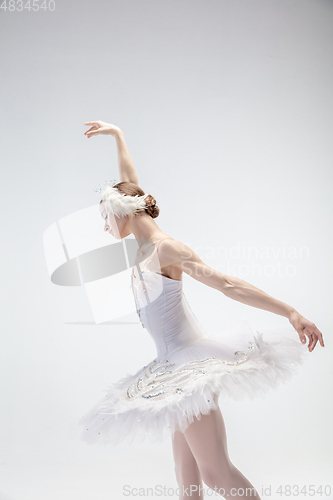 Image of Young graceful ballerina on white studio background