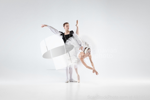 Image of Young graceful couple of ballet dancers on white studio background