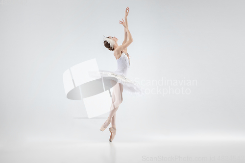 Image of Young graceful ballerina on white studio background