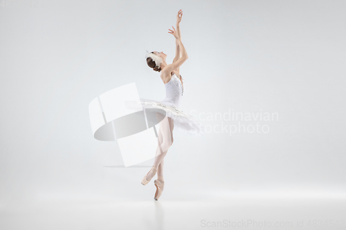 Image of Young graceful ballerina on white studio background