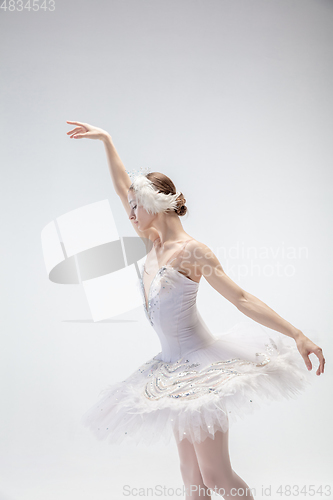 Image of Young graceful ballerina on white studio background