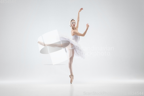 Image of Young graceful ballerina on white studio background