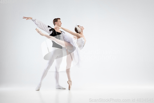 Image of Young graceful couple of ballet dancers on white studio background