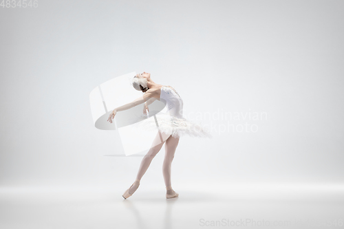 Image of Young graceful ballerina on white studio background