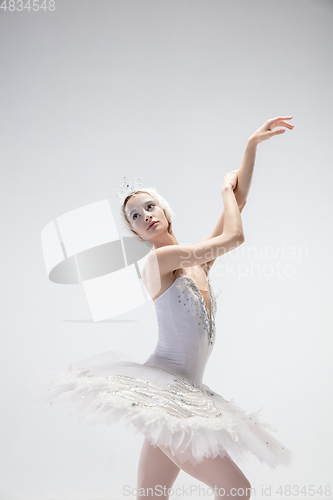 Image of Young graceful ballerina on white studio background