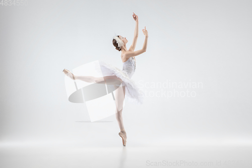 Image of Young graceful ballerina on white studio background