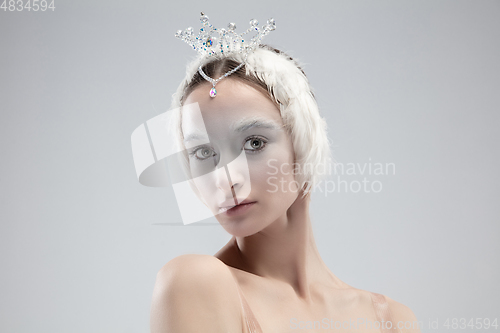 Image of Close up of young graceful ballerina on white studio background