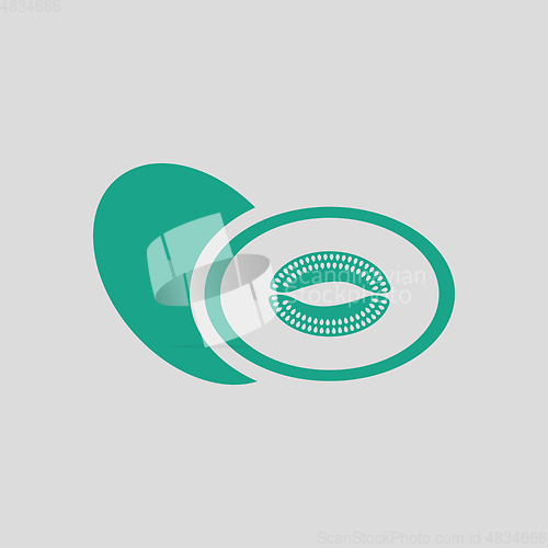 Image of Melon icon