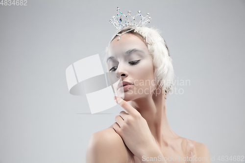 Image of Close up of young graceful ballerina on white studio background