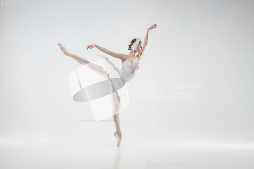 Image of Young graceful ballerina on white studio background