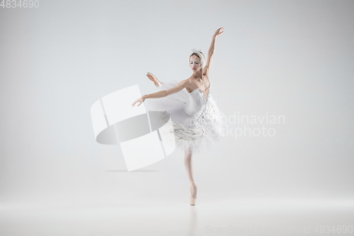 Image of Young graceful ballerina on white studio background