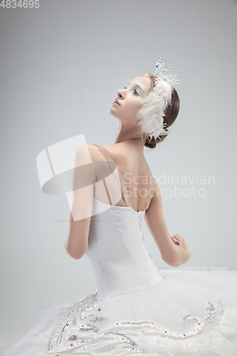 Image of Close up of young graceful ballerina on white studio background