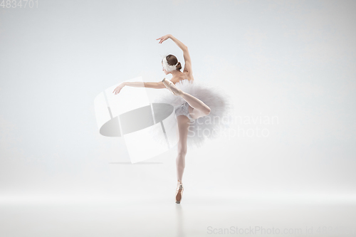 Image of Young graceful ballerina on white studio background