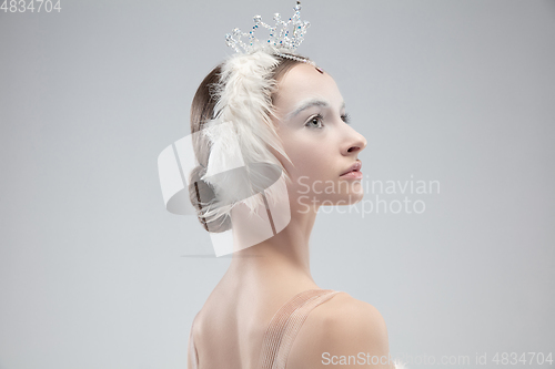 Image of Close up of young graceful ballerina on white studio background