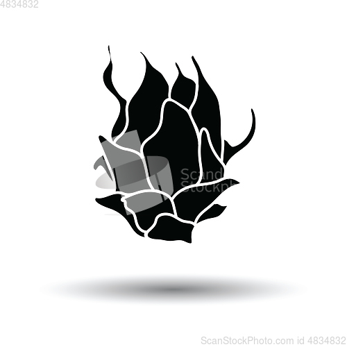 Image of Dragon fruit icon