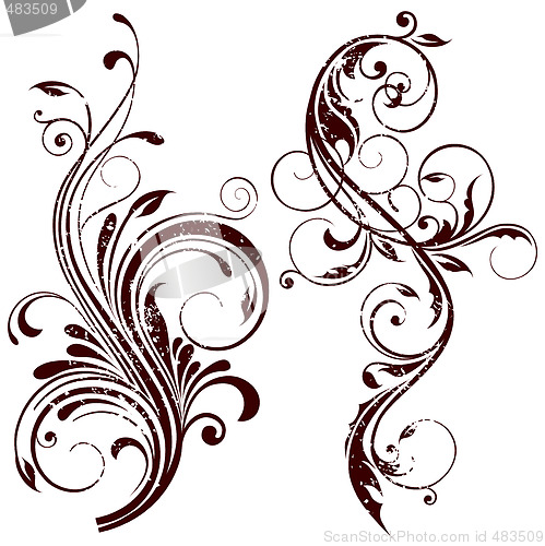 Image of floral design elements
