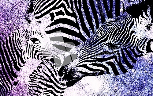 Image of Zebra Mother and Calf