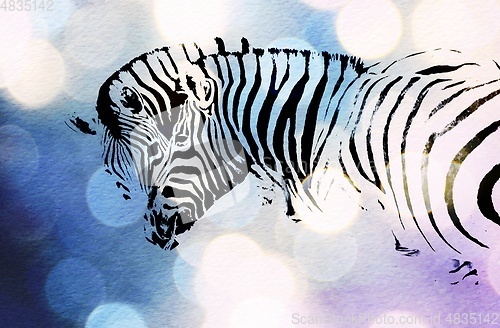 Image of two Zebras