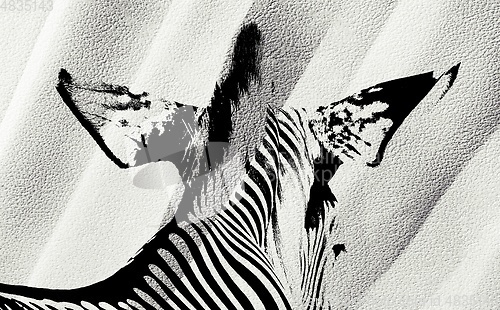 Image of Zebra head from behind