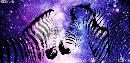 Image of Zebras with night sky