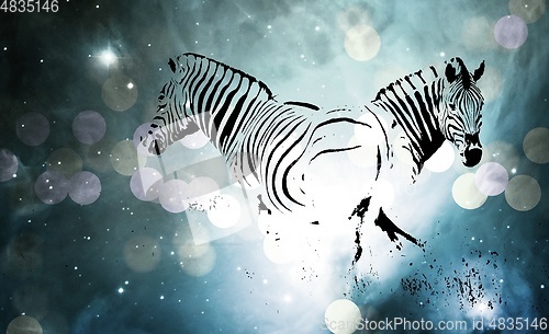 Image of two Zebras in heaven