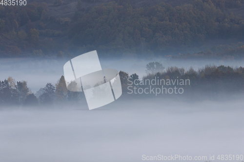 Image of morning fog over the woods in Transilvania