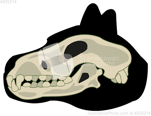 Image of Silhouette of the head animal dog and skull