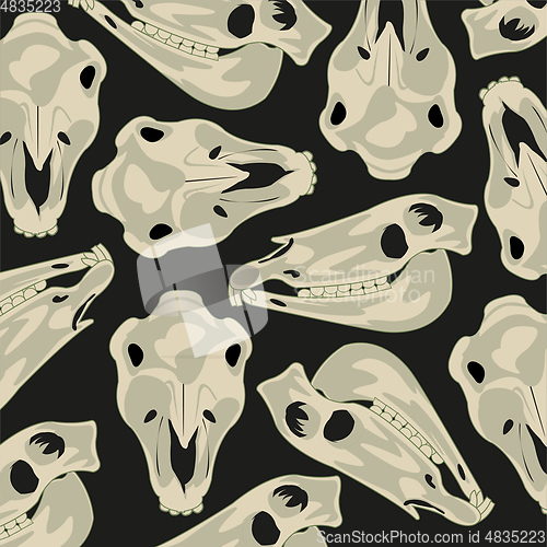 Image of Skull animal horse decorative pattern on black background