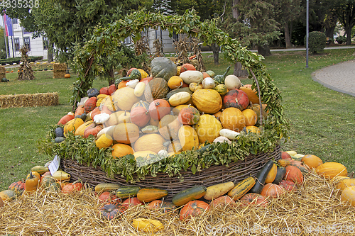 Image of A bunch assorted gourds, zucchini, pumpkin and winter squash