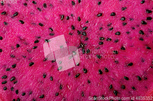 Image of Background dragon fruit slice ripe wet pitahaya cut