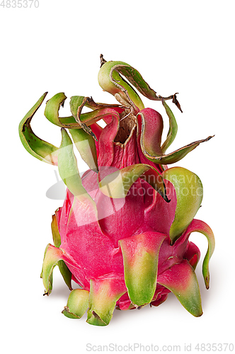 Image of Dragon fruit vertically isolated on a white