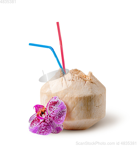 Image of Fresh coconut water drink with orchid flower near