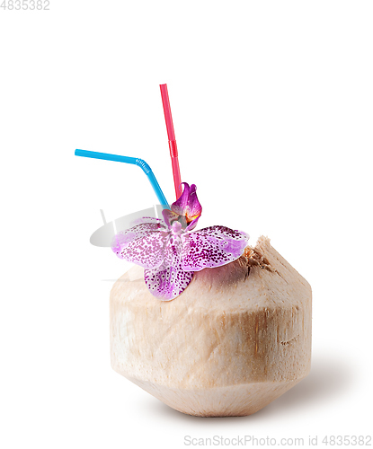 Image of Fresh coconut water drink with orchid flower