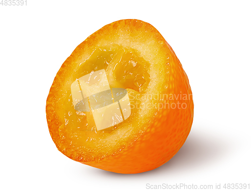 Image of Half ripe kumquat rotated isolated on white