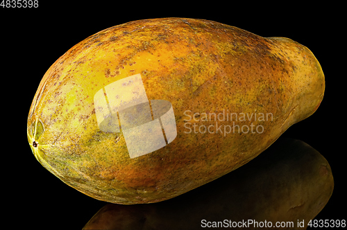 Image of Papaya whole with reflection isolated on black