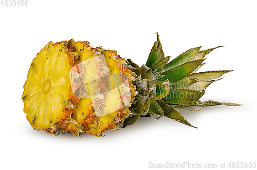 Image of Pineapple slice with top and slices isolated on white