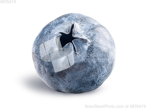 Image of Single blueberry berry isolated on a white