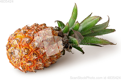 Image of Single pineapple lies isolated on a white