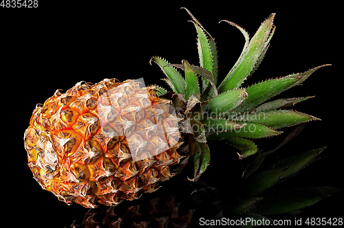 Image of Single whole pineapple with reflection lies rotated