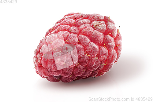 Image of Single raspberry berry rotated isolated on white