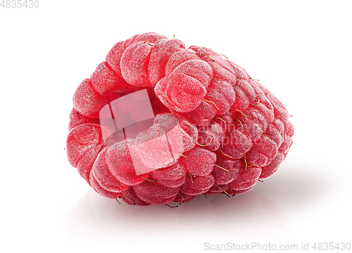 Image of Single raspberry berry isolated on a white