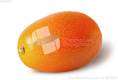 Image of Single ripe kumquat isolated on a white