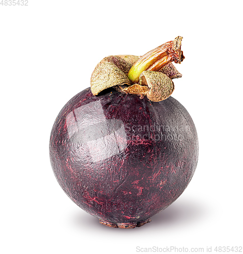 Image of Single ripe mangosteen isolated on a white