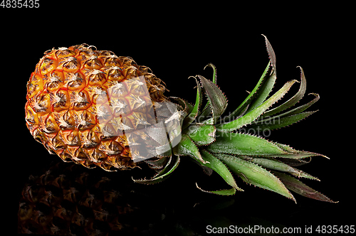 Image of Single whole pineapple with reflection lies isolated on black