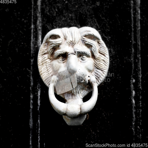 Image of Door Knocker as Lion Head