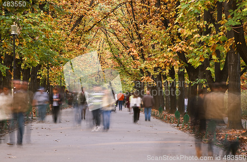 Image of Autumn walk