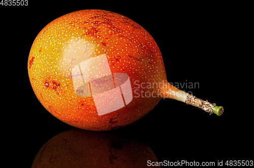 Image of Whole tamarillo horizontally with reflection isolated on black