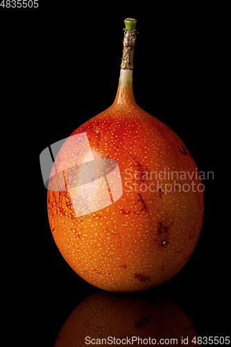 Image of Whole tamarillo vertically with reflection isolated on black